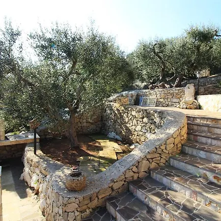 Foresta - Ciolo By Lovesud